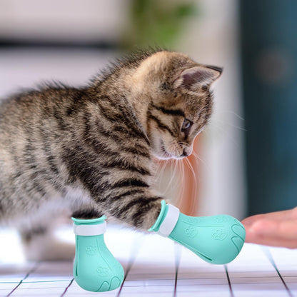 Gosknor adjustable claw covers for kittens and adult cats