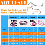 Lobeve dog travel kit including pink harness and seat belt