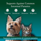 USA-imported four fluid ounce GiarCidia pet dewormer liquid with included dosing syringe.