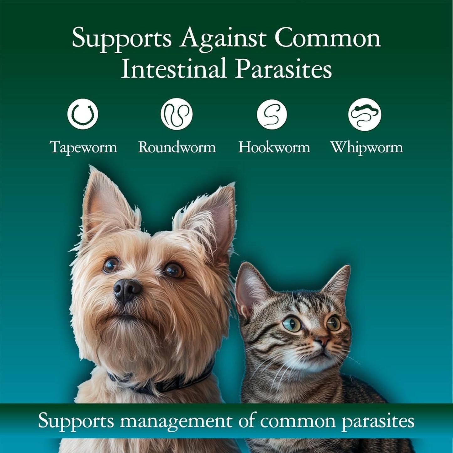 USA-imported four fluid ounce GiarCidia pet dewormer liquid with included dosing syringe.