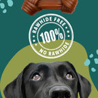 Back label of product detailing digestible ingredients like psyllium husk and chicory root.
