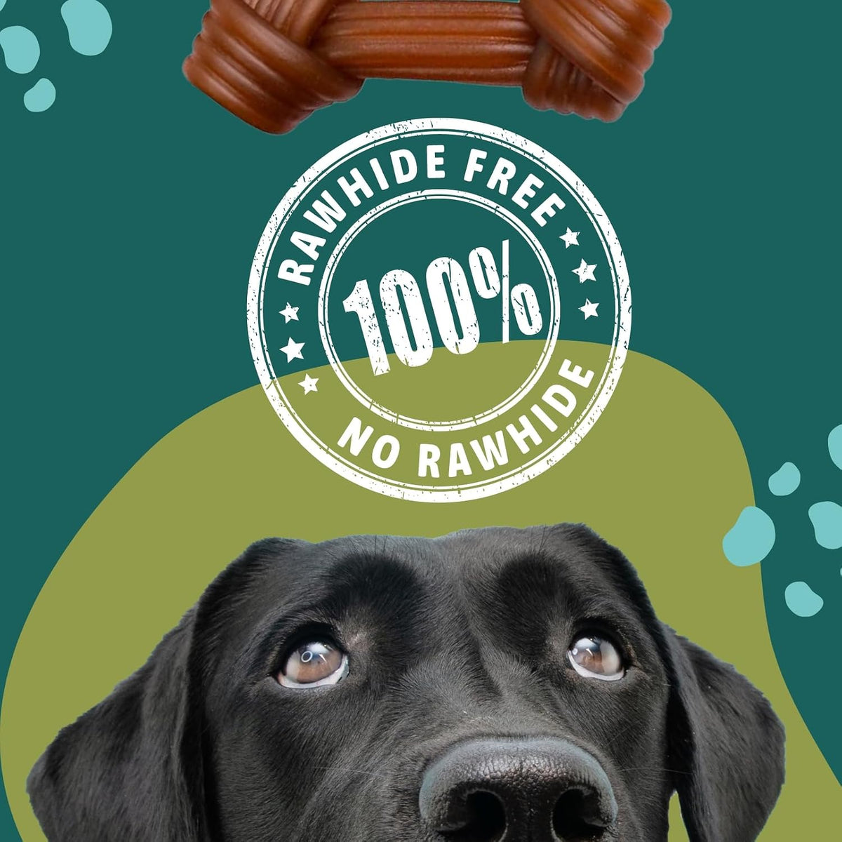 Back label of product detailing digestible ingredients like psyllium husk and chicory root.
