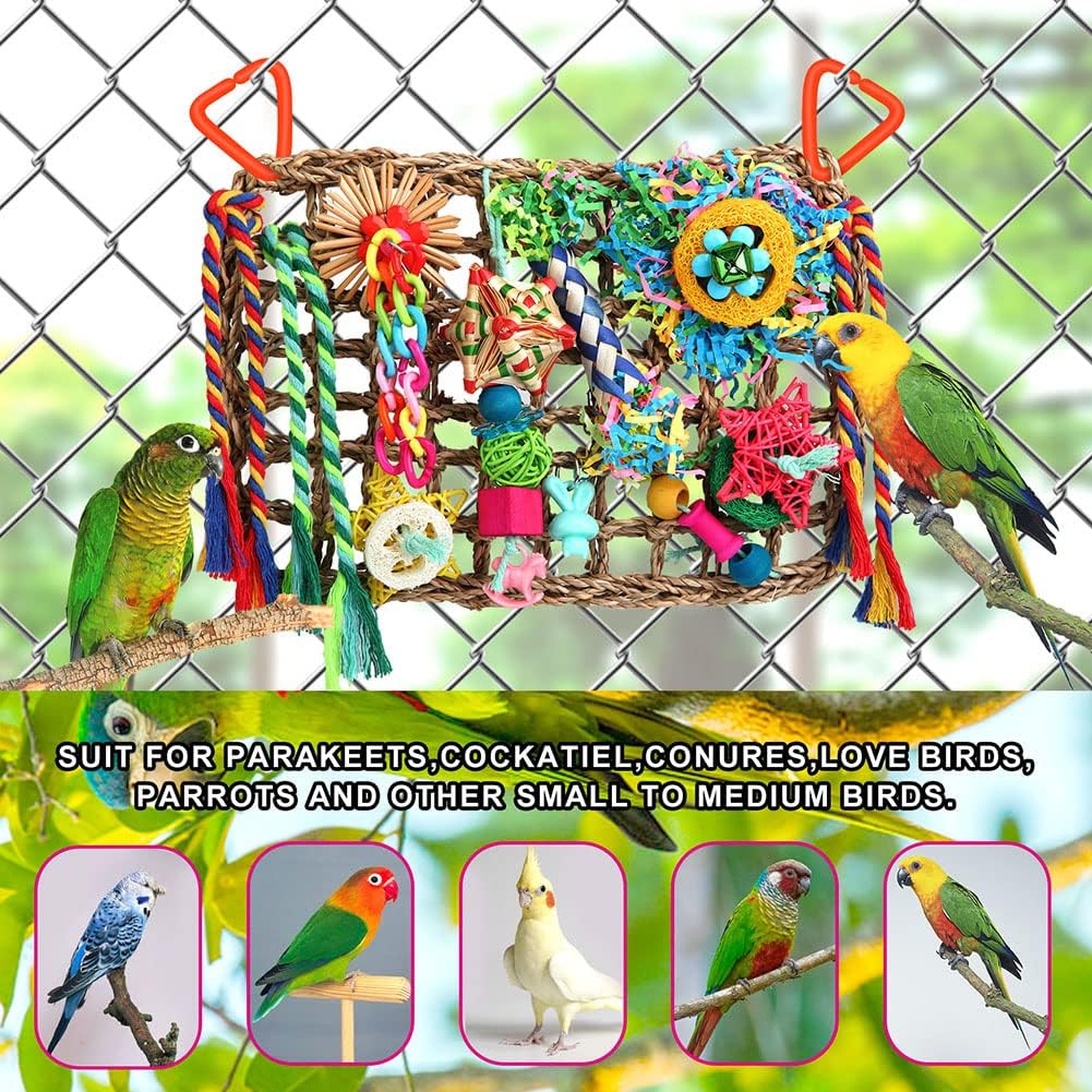 Full product set of Yixund foraging wall with various chewable accessories