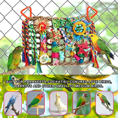Authentic imported YIXUND bird foraging wall installed inside a pet cage