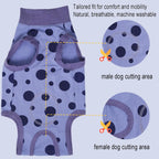 Comfortable dog cone alternative clothing preventing licking after spay surgery
