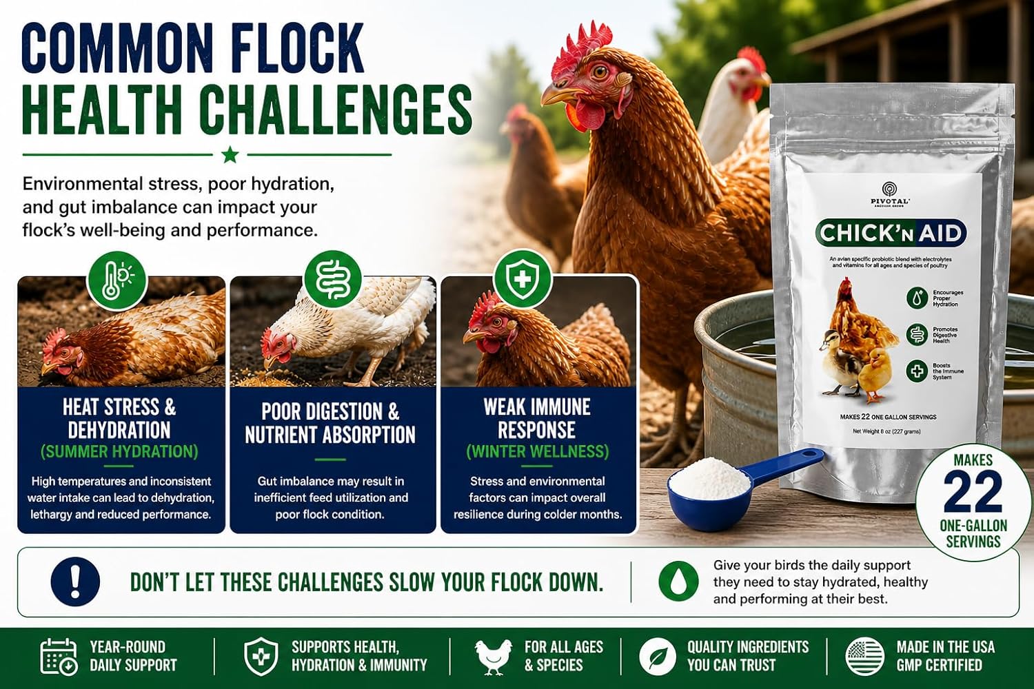 Back label of Chick'n Aid chicken wellness supplement indicating instructions and scoop measurements