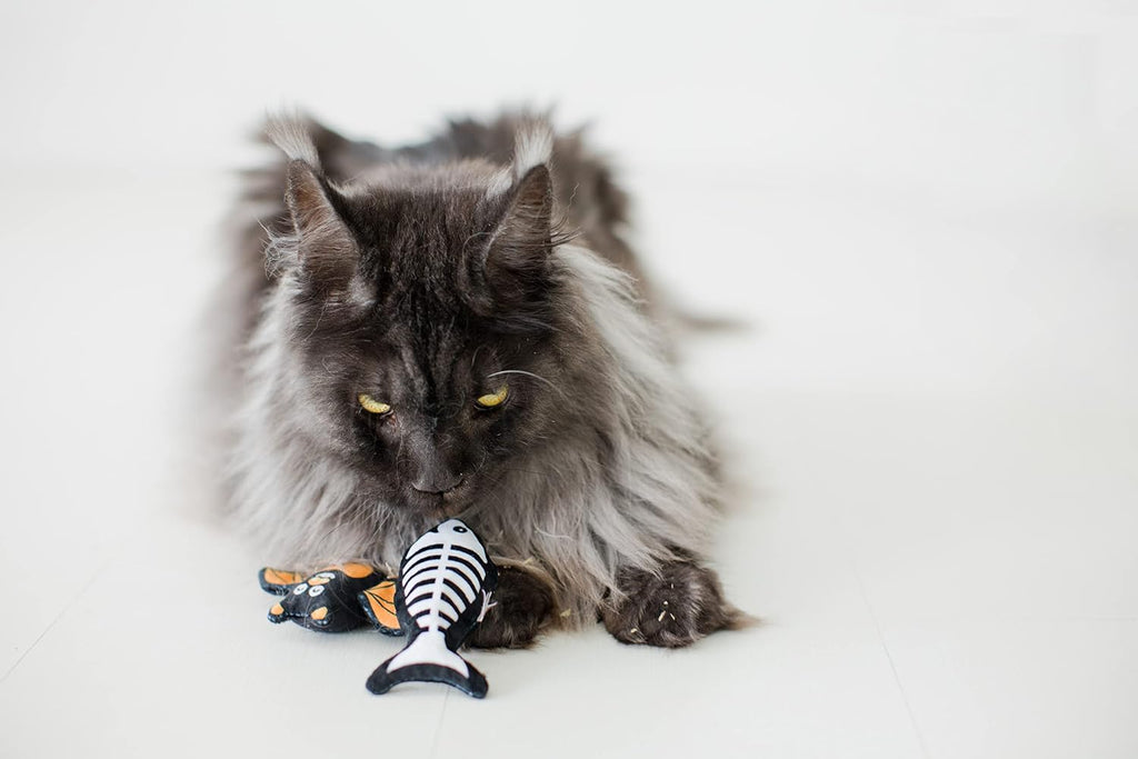 Pearhead holiday cat toys displaying their compact dimensions suitable for kittens and adult cats.