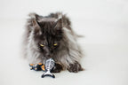 Pearhead holiday cat toys displaying their compact dimensions suitable for kittens and adult cats.