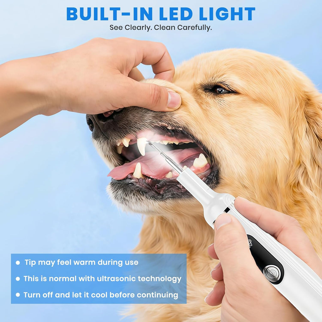 Replacement cleaning heads for Patwing dental kit