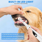 Replacement cleaning heads for Patwing dental kit