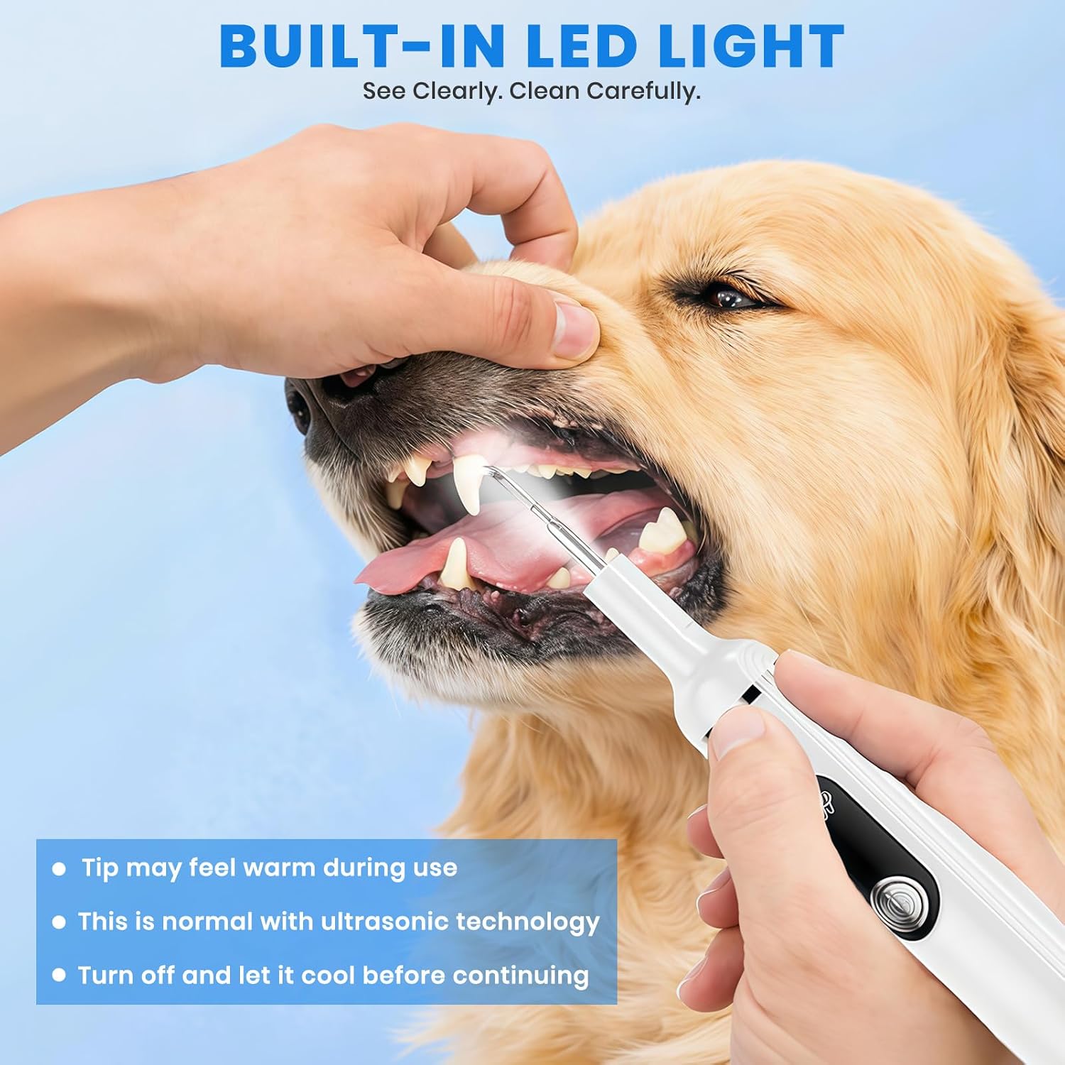 Replacement cleaning heads for Patwing dental kit
