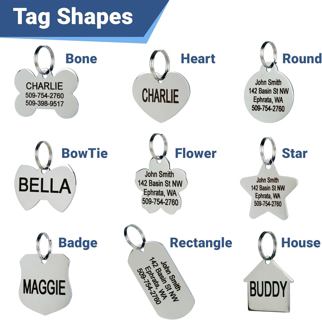 GoTags personalized dog bone tag back view highlighting space for four lines of contact text
