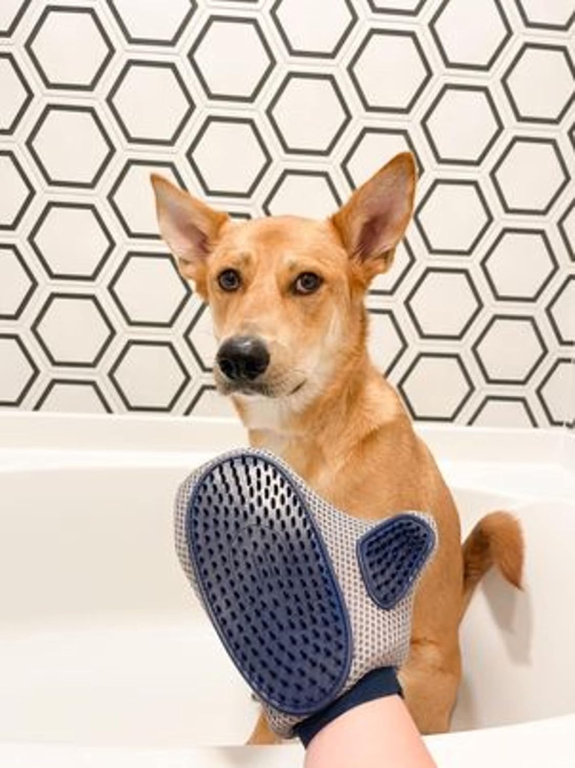 Four Paws pet grooming glove brush with adjustable strap for secure hand fitting