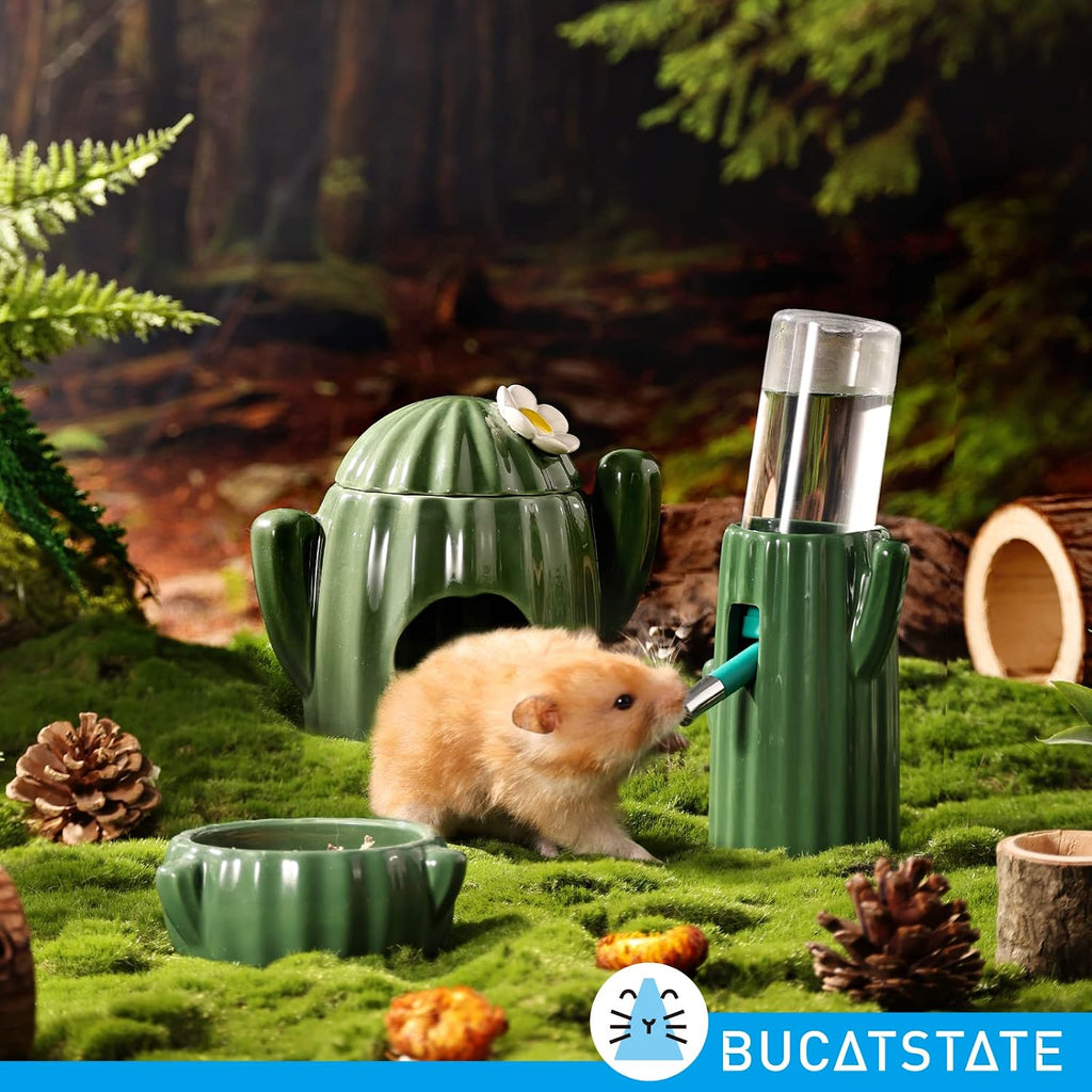 Bucatstate cactus water dispenser for gerbils and hamsters