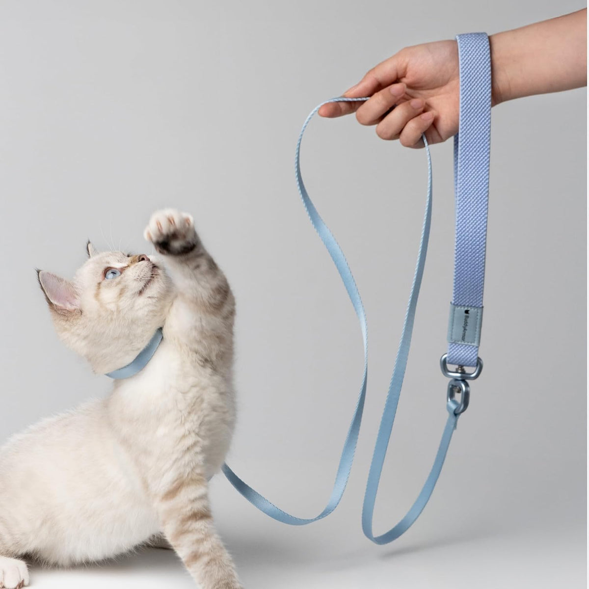 Cat Harness and Leash 2-in-1, Escape Proof Anti-Choking Harness Adjustable Lightweight Leash One-Piece Non-Detachable for Kitten Cats Outoor Walking Training, US IDA Bronze Award (Purple) - Image 9