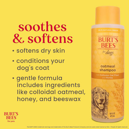 Side view of Burt's Bees oatmeal shampoo for sensitive dogs