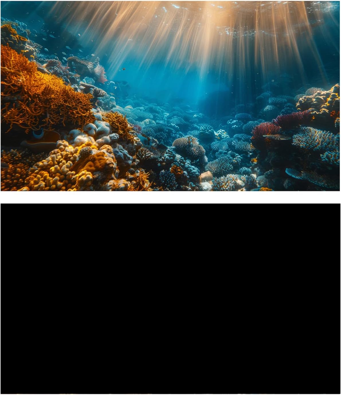 AWERT 2 Pack Aquarium Background front view showing sunlit coral reef design
