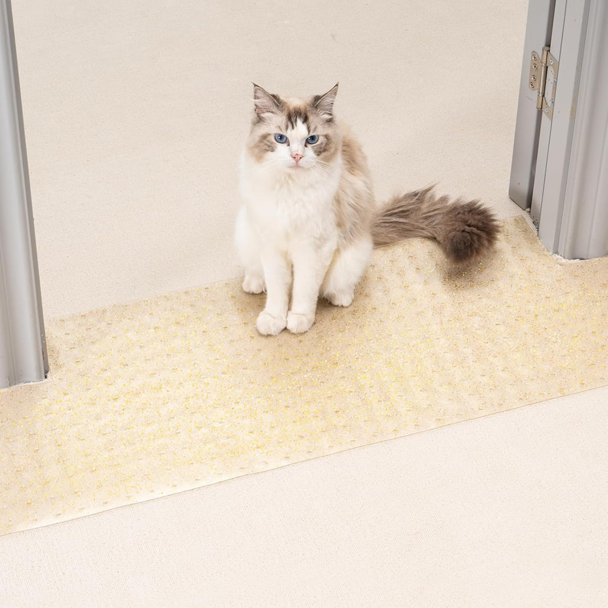 Uross Carpet Protector for Pets - Cat Carpet Protector for Doorway, Anti Scratch Under Door Cat Scratch Protector Mat, Easy to Cut Plastic Carpet Scratch Stopper Guard 3.6FT x 3PCS - Image 13