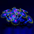Uniclife glowing artificial coral plant front view