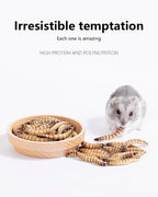 Niteangel natural high-protein worms for hamsters and gerbils