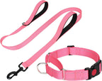 FunTags Reflective Hotpink Martingale Collar (16"-20") & Leash (5ft x 1") for Medium Dog, Escape-Proof with 2 Handles, Safe Night Walks, Durable Nylon, Quick-Release Buckle - Image 9