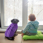 Queenmore dachshund sweater lavender back design with decorative ribbon