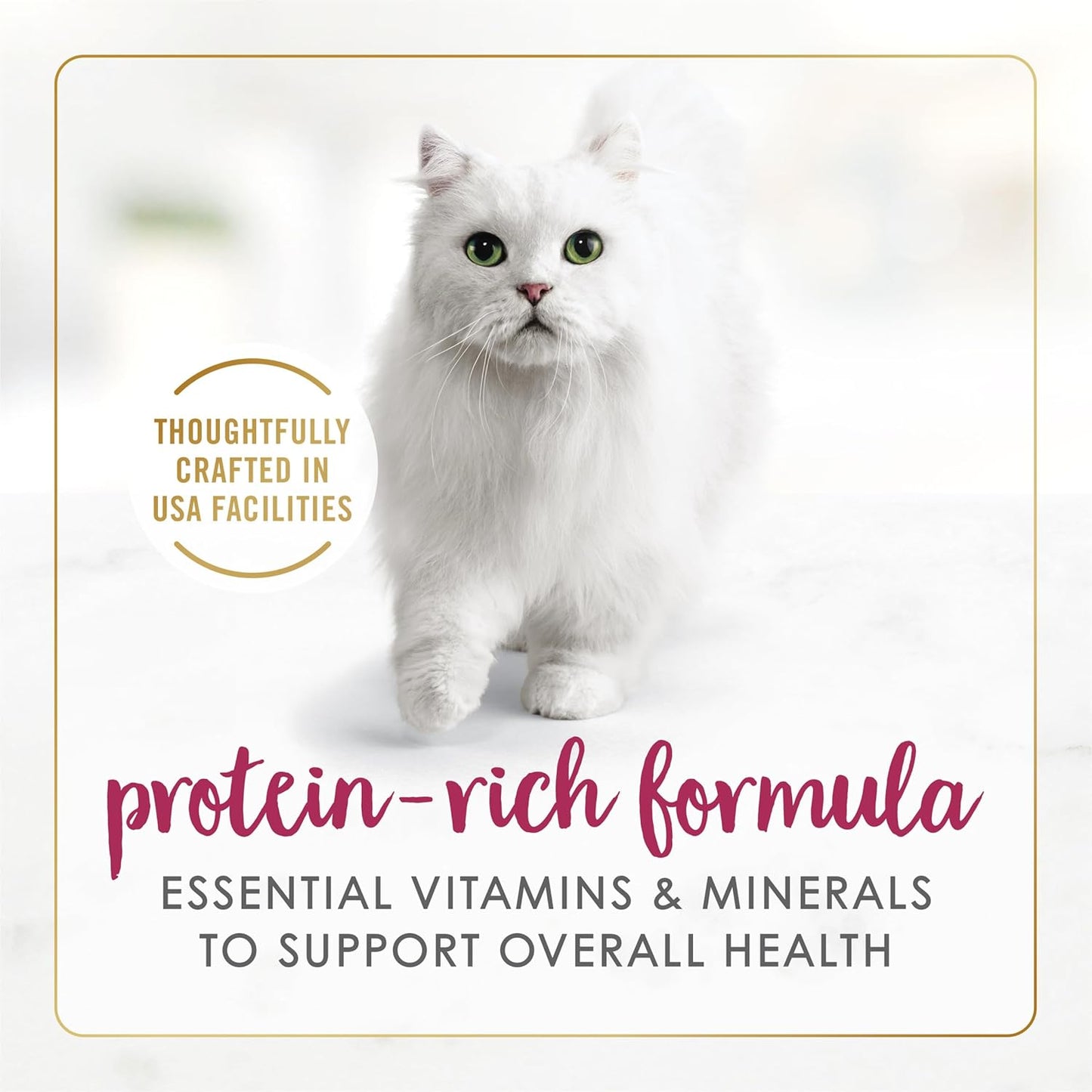 Authentic USA Imported Purina Fancy Feast Senior Cat Food