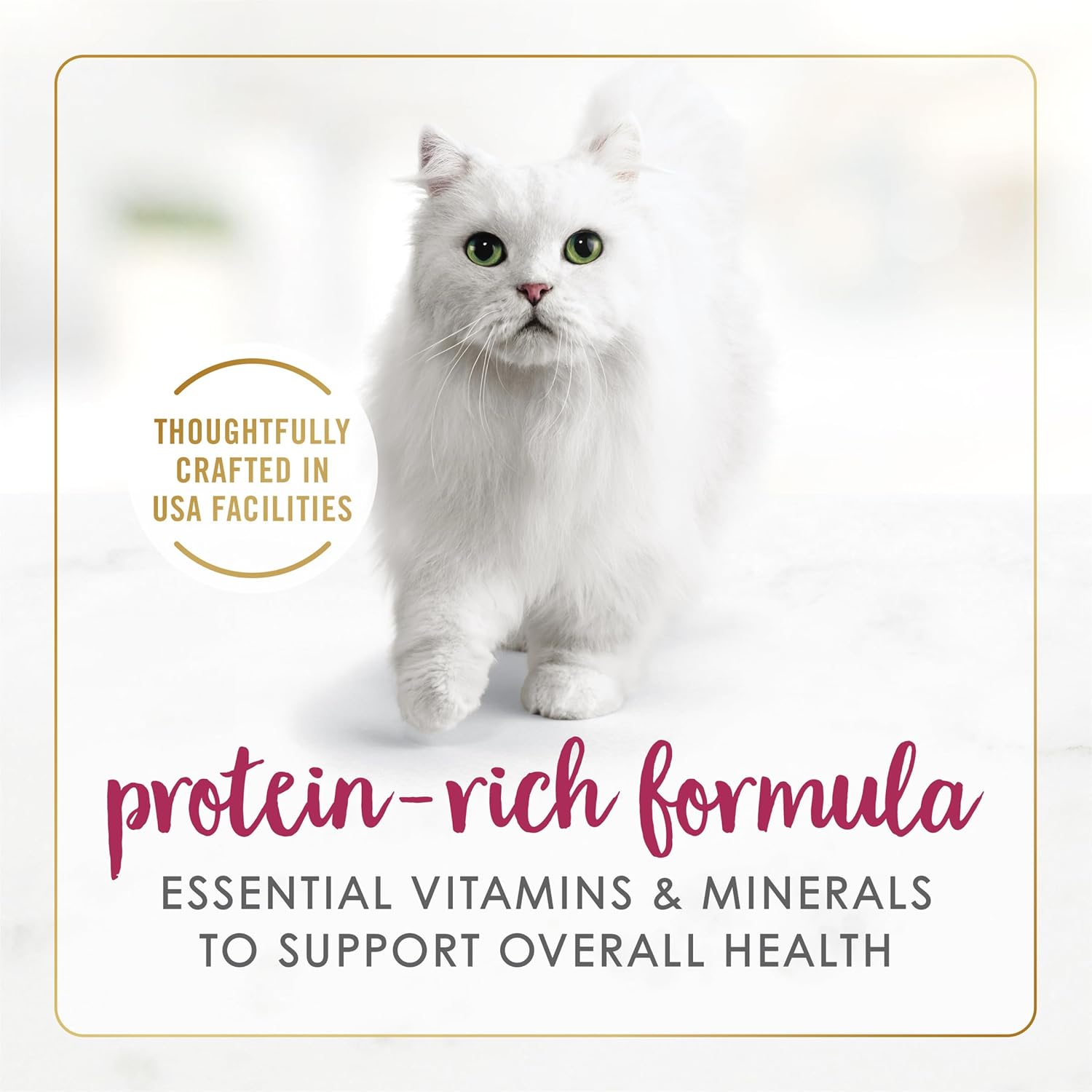 Authentic USA Imported Purina Fancy Feast Senior Cat Food