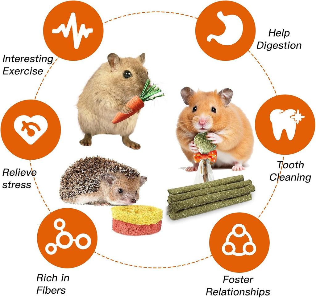 Full layout view of the Jorewood small rodent enrichment toys demonstrating the premium USA-sourced materials.