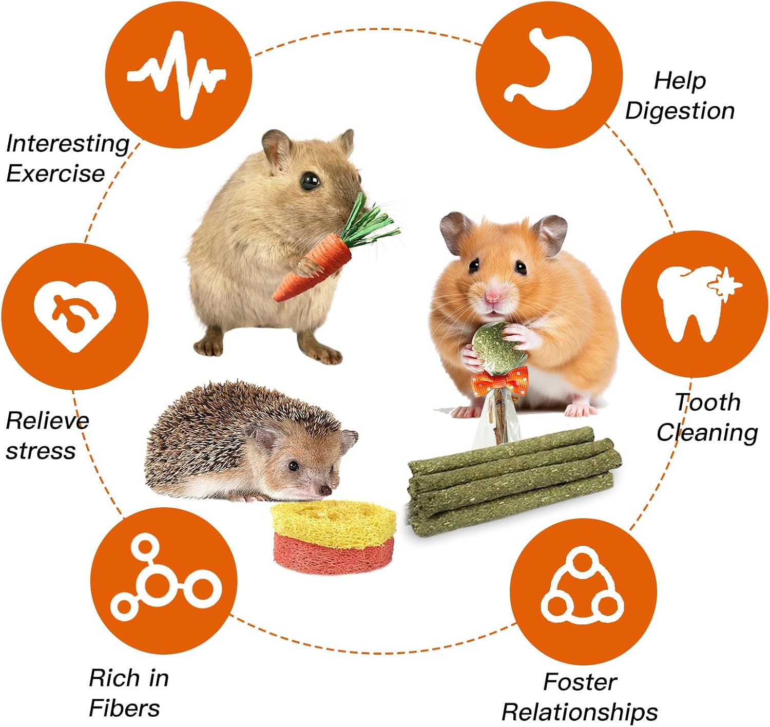 Full layout view of the Jorewood small rodent enrichment toys demonstrating the premium USA-sourced materials.