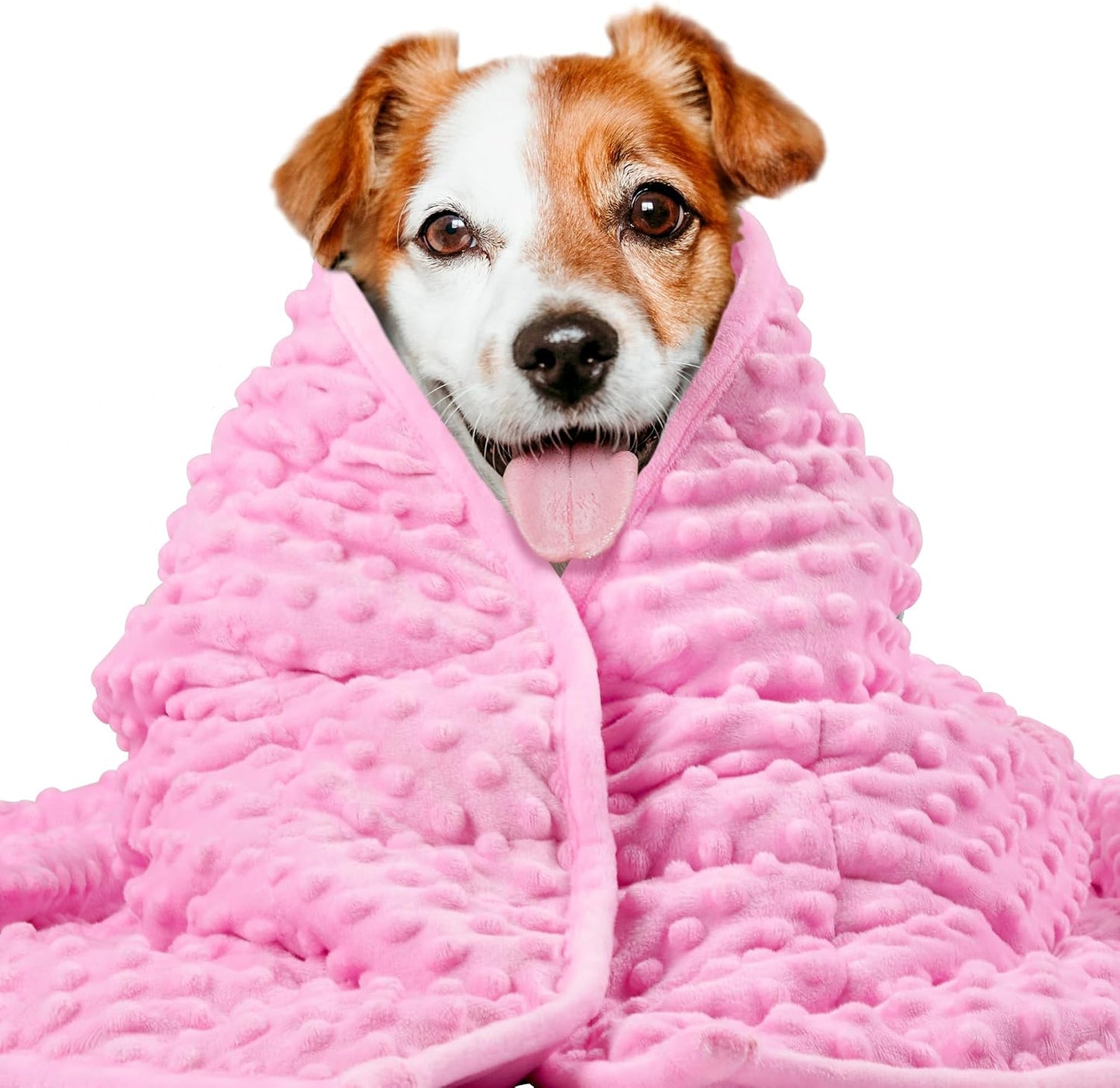 LaSyL Weighted Blanket for Pets | Thunder Blanket for Dogs Anxiety | Premium Soft Minky | Relaxation & Calming & Anti Anxiety | Used in Car, Bed, Couch | Blue Grey Star, Washable Small (24"x32") - Image 9