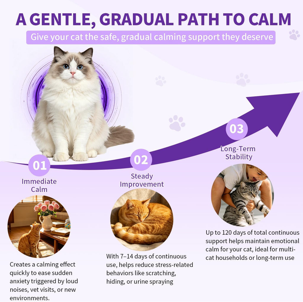 Cat Calming Diffuser Kit with 2 Diffusers & 4 Refills (48mL Each), Cat Pheromones Calming Diffuser for Cat Anxiety Relief, Stress Reduction & Behavior Support, 30-Day Refills, Suitable for All Cats - Image 5