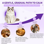 Cat Calming Diffuser Kit with 2 Diffusers & 4 Refills (48mL Each), Cat Pheromones Calming Diffuser for Cat Anxiety Relief, Stress Reduction & Behavior Support, 30-Day Refills, Suitable for All Cats - Image 5