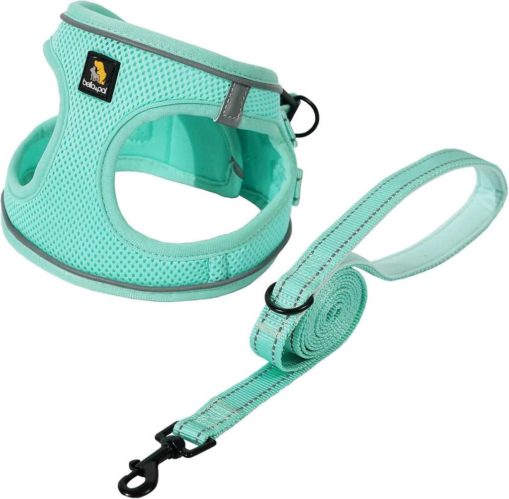 Authentic USA imported Bella And Pal dog walking accessory set packaging
