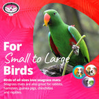 Super Bird Creations seagrass mat folded inside cage