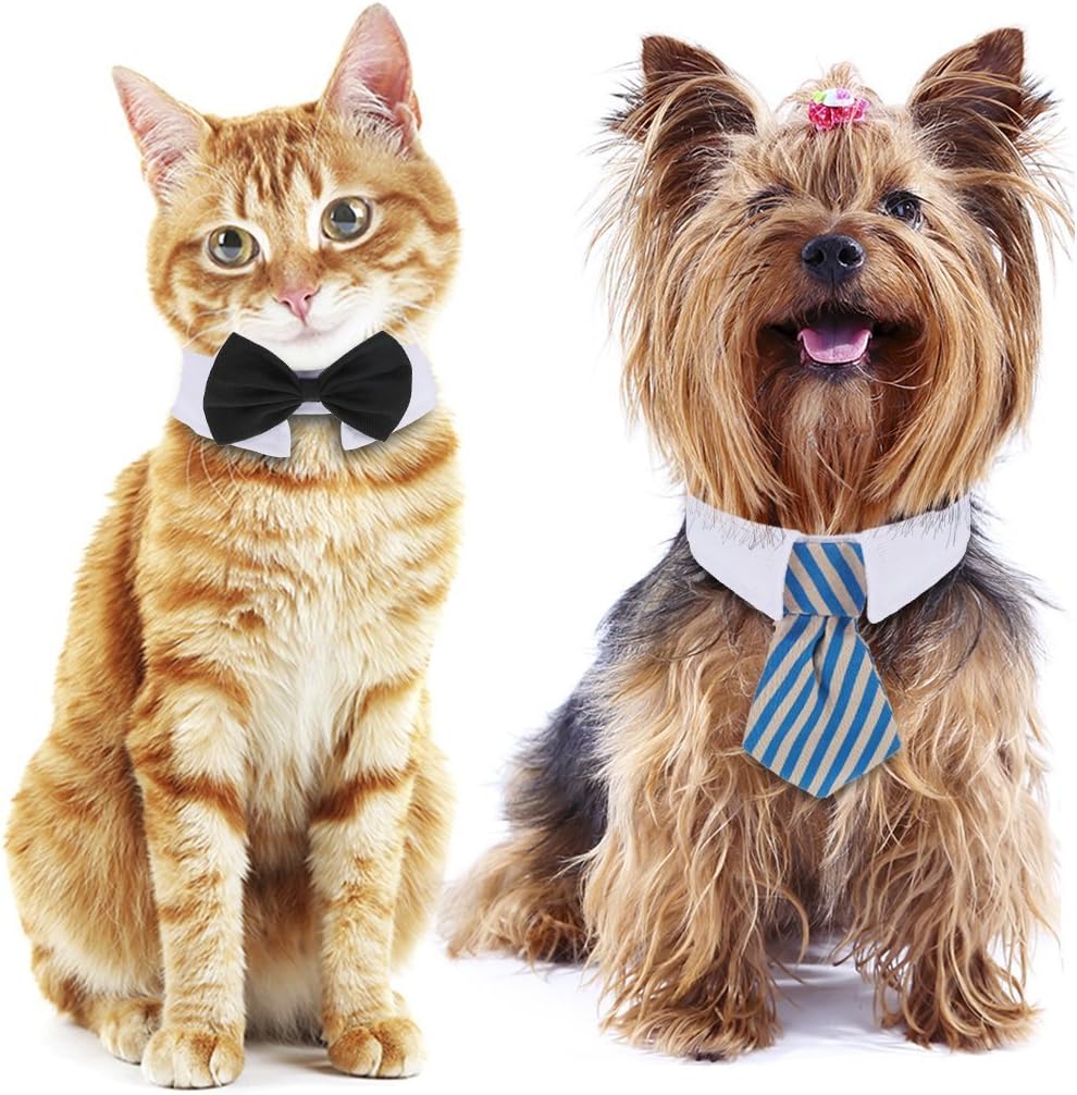 Shappy cotton pet bowtie for weddings and parties