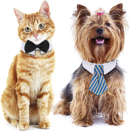 Shappy cotton pet bowtie for weddings and parties