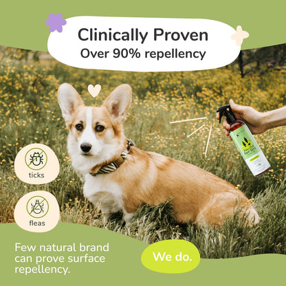 Kin+Kind plant-powered pet repellent spray bottle