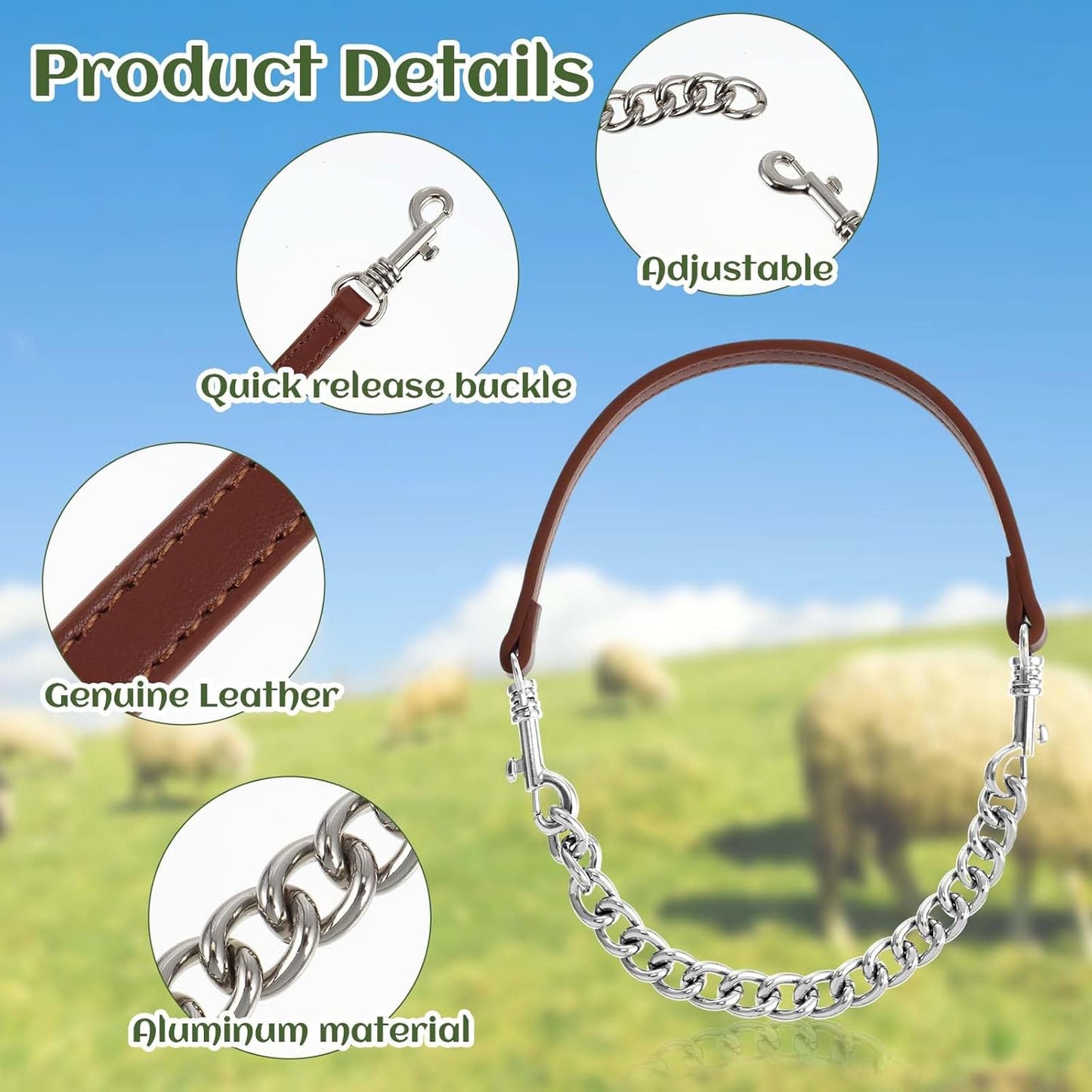 Misdary professional show ring animal collar showcasing the seamless integration of chain and leather