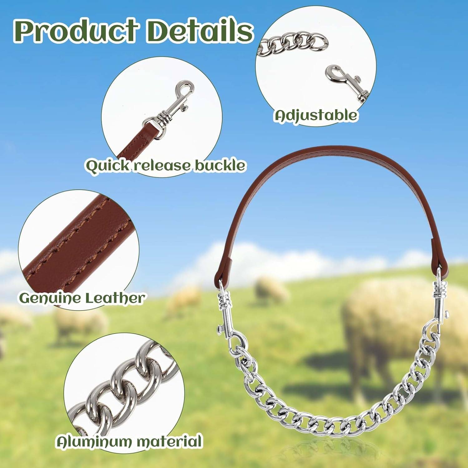 Misdary professional show ring animal collar showcasing the seamless integration of chain and leather