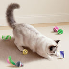 Full assortment of the 34 piece imported feline entertainment kit.