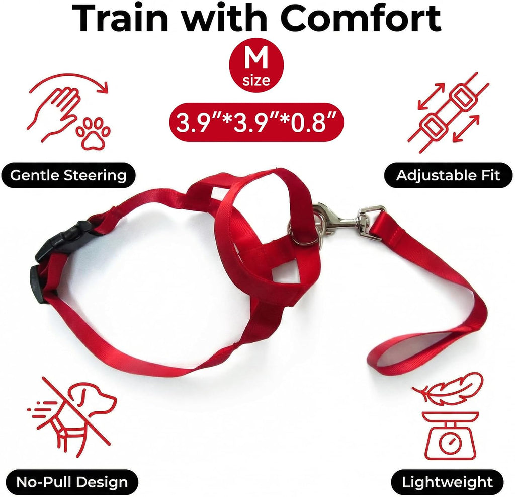 Zevey no pull pet training halter showing durable metal leash ring attachment.