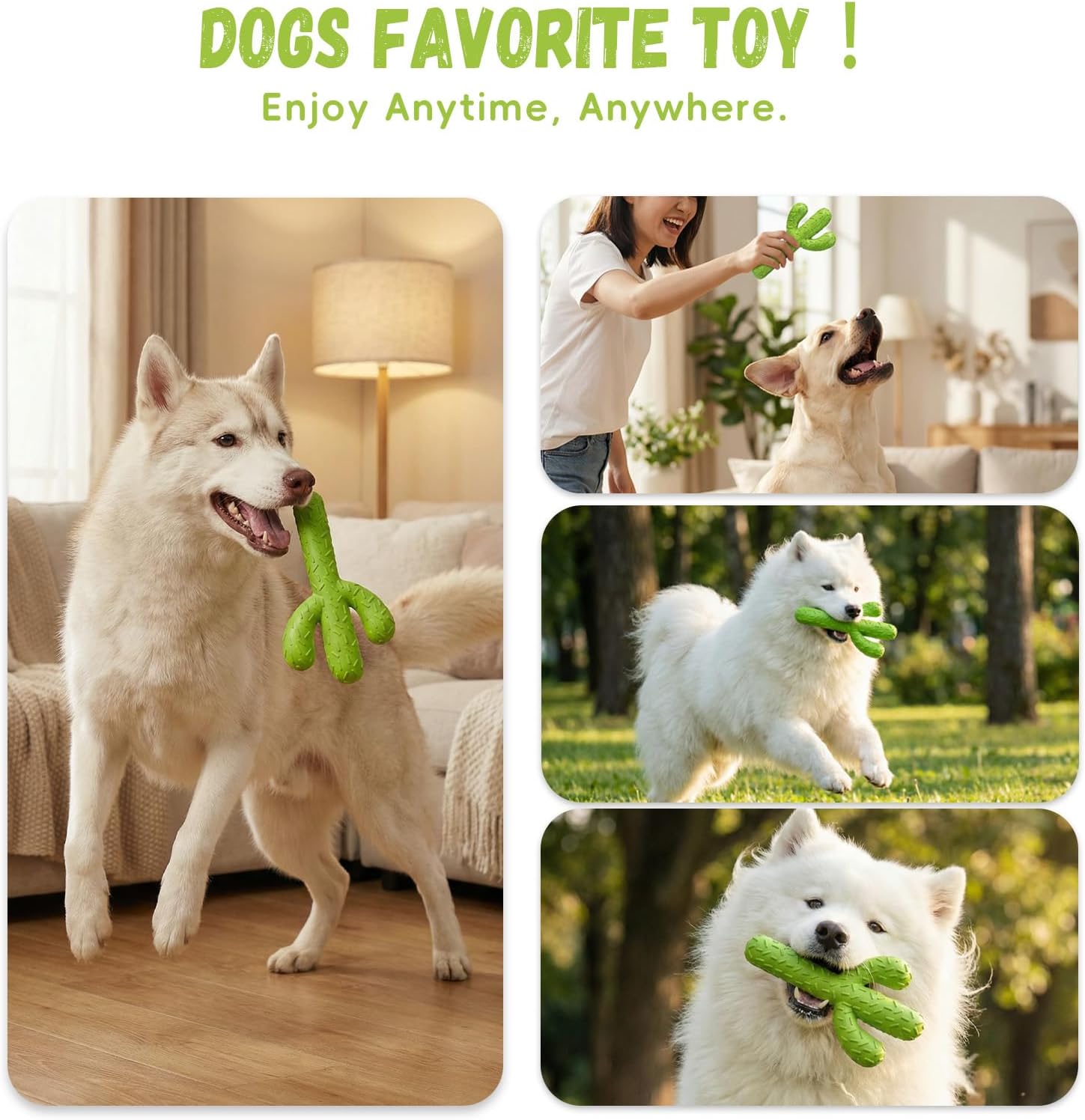 Interactive rubber toy for dogs designed for training and play