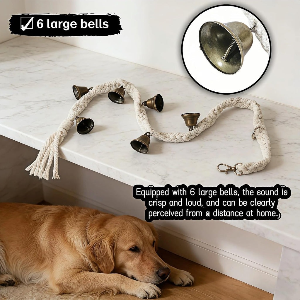 Small puppy touching the hanging dog potty training bell