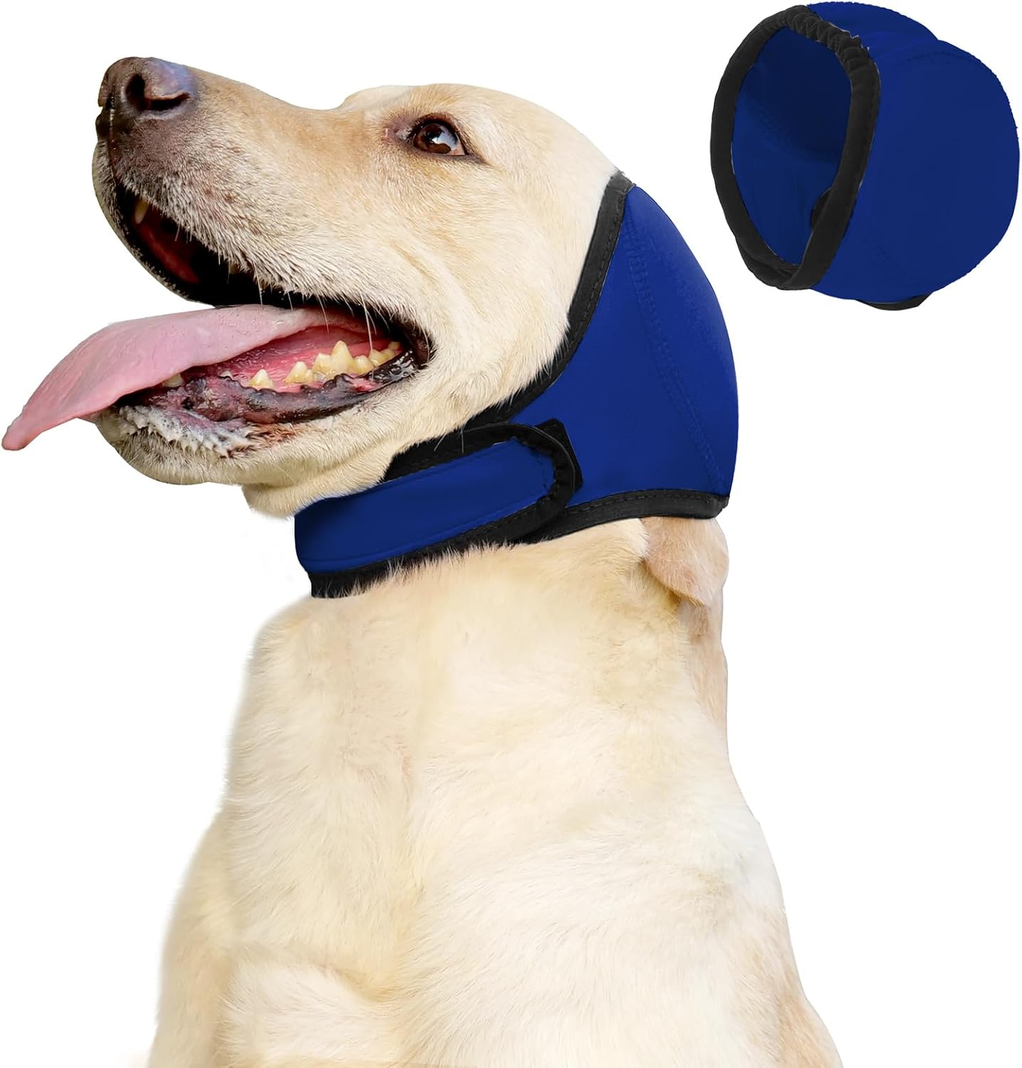 Anxiety relief pet gear showing the stretchable and breathable blue fabric close up.