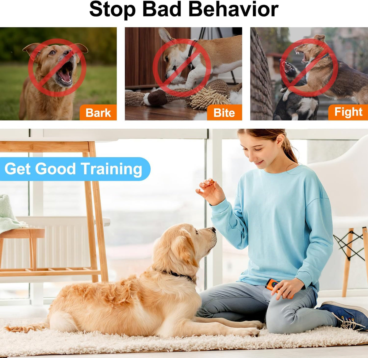 Sedulan pet behavior correction tool in outdoor setting