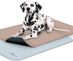 Paw Inspired dog crate liner used as food bowl mat
