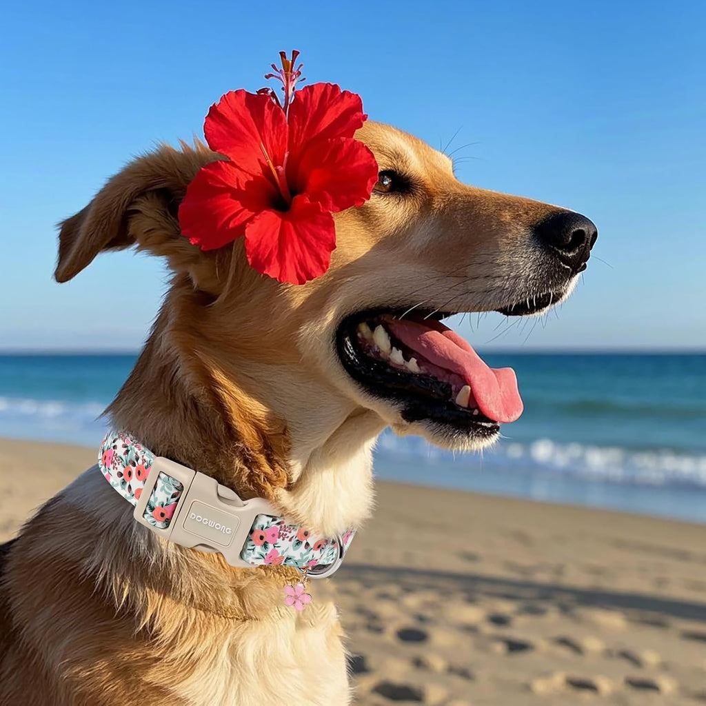 Durable D-ring on Dogwong spring summer dog collar