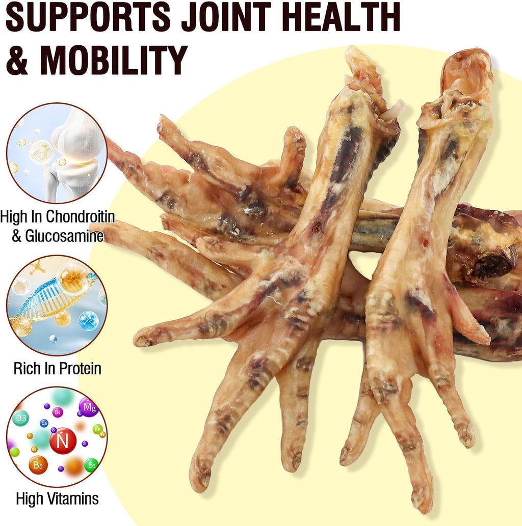 Wagging Master chicken feet showing joint support benefits