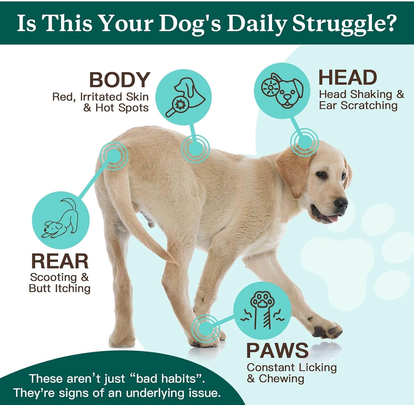Natural anti itch pet supplement ingredients featuring omega 3 fish oil for skin health.